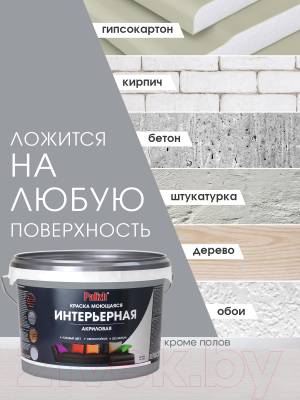 Краска Palizh Акриловая интерьерная моющаяся