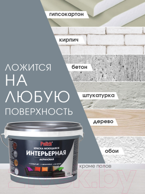 Краска Palizh Акриловая интерьерная моющаяся
