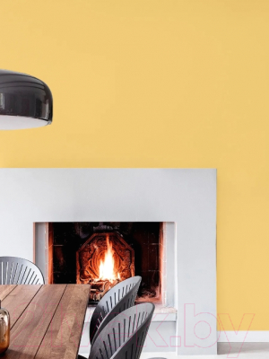 Колеровочная краска Palizh Интерьер