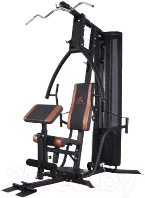 Силовой тренажер DFC D5125 - фото