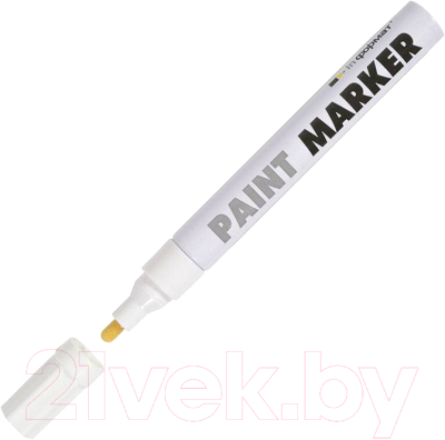 Маркер-краска inФормат Paint Professional KRR04W - фото