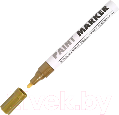 Маркер-краска inФормат Paint Professional KRR04Z - фото