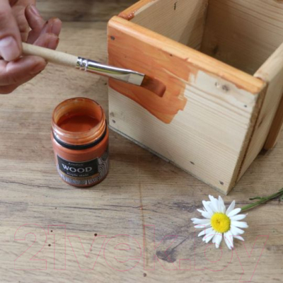 Морилка KolerPark Aqua Wood Акриловая лаковая лазурь