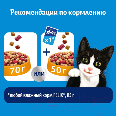 Сухой корм для кошек Felix Двойная вкуснятина с птицей (600г)