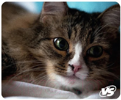 Коврик для мыши VS Cat / VS-B4648 - фото