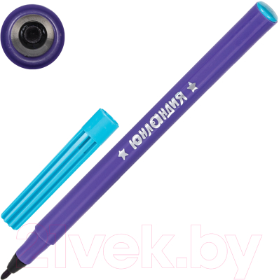 Набор маркеров Юнландия Юный Волшебник / 151892