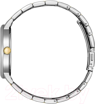 Часы наручные мужские Citizen BI5076-51A