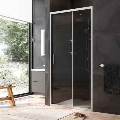 Душевая дверь AM.PM Gem W90G-100-1-195MG