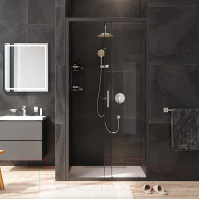 Душевая дверь AM.PM Gem W90G-100-1-195BT