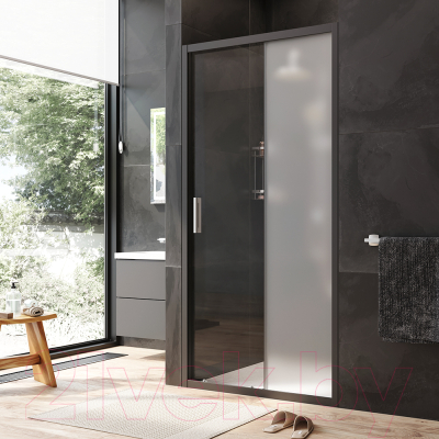 Душевая дверь AM.PM Gem W90G-100-1-195BM