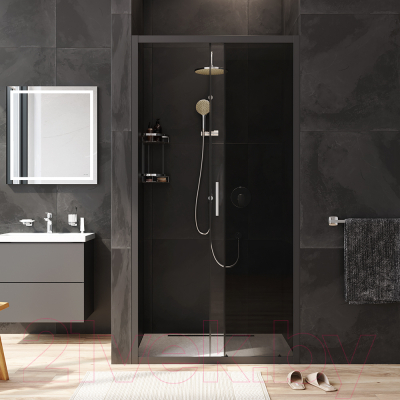 Душевая дверь AM.PM Gem W90G-110-1-195BG