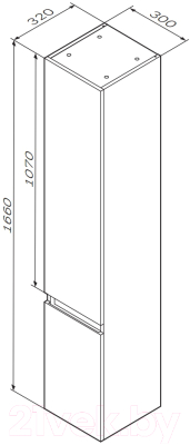 Шкаф-пенал для ванной AM.PM X-Joy M85ACHR0306WG