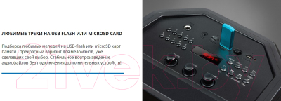 Портативная акустика Sven PS-670