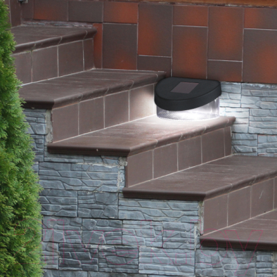 Светильник уличный ЭРА SL-PL8-MNT1 / Б0018819