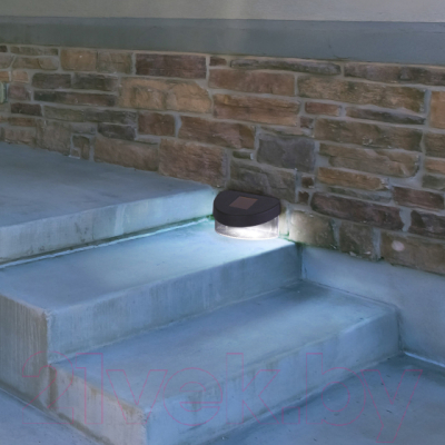 Светильник уличный ЭРА SL-PL8-MNT1 / Б0018819