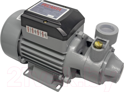 Поверхностный насос Ресанта ПСН-2400Ч - фото