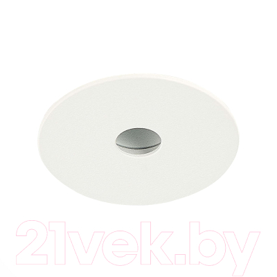 Точечный светильник ST Luce ST217.548.09