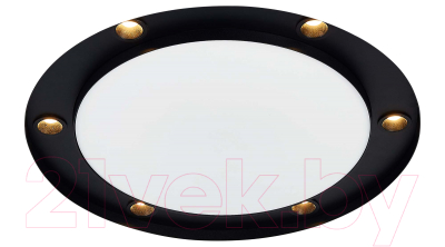 Точечный светильник ST Luce ST706.438.30 - фото