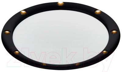 Точечный светильник ST Luce ST706.438.45 - фото