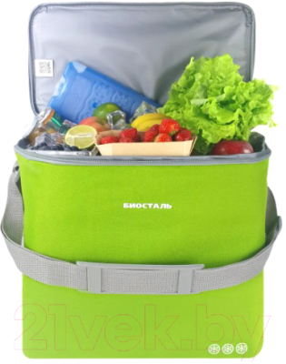 Термосумка Биосталь Кантри TCD-G