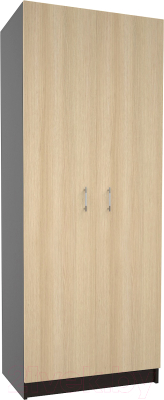 Шкаф МДК СК2 2-х створчатый 1980x800x490 (венге/дуб млечный) - фото