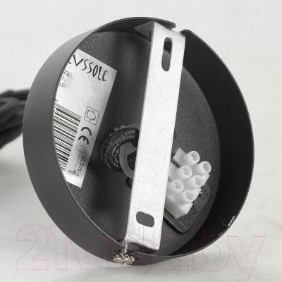 Потолочный светильник Lussole LSP-8543