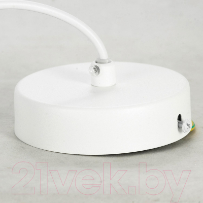 Потолочный светильник Lussole LSP-8519