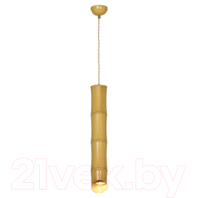 Потолочный светильник Lussole LSP-8564-4 - фото