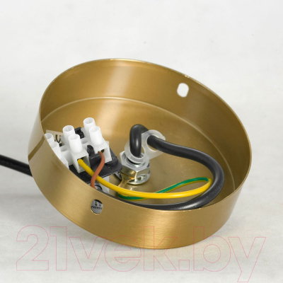 Потолочный светильник Lussole LSP-8586