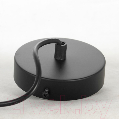 Потолочный светильник Lussole LSP-8567