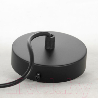 Потолочный светильник Lussole LSP-8570