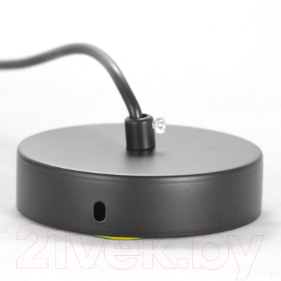 Потолочный светильник Lussole LSP-8590