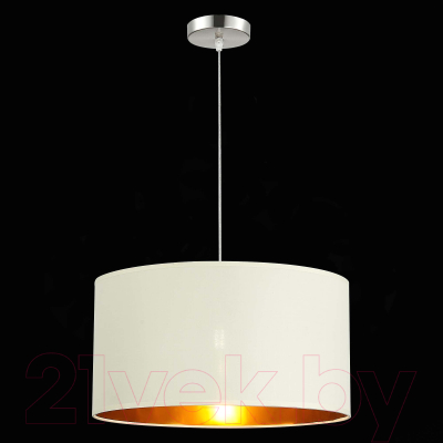 Потолочный светильник Evoluce SLE300553-01 