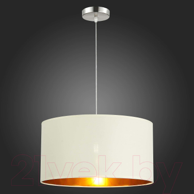 Потолочный светильник Evoluce SLE300553-01 