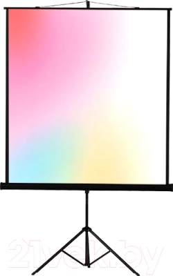 Проекционный экран Lumien Eco View 160x160 / LEV-100105 - фото