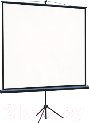 Проекционный экран Lumien Eco View 160x160 / LEV-100105