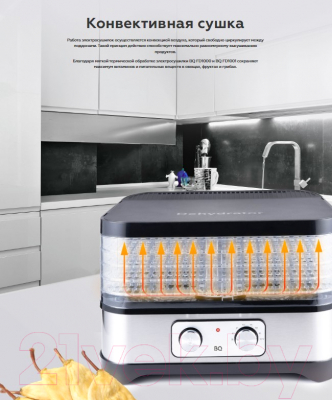 Сушилка для овощей и фруктов BQ FD1001