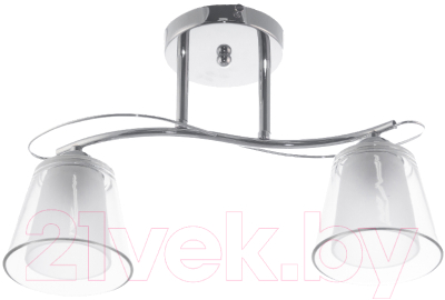 Потолочный светильник Aitin-Pro НПБ 02-2x60-101 / XA1248/2 (хром) - фото