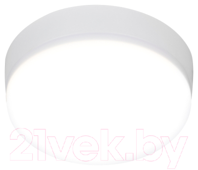 Потолочный светильник ЭРА LED 15-18-4K / Б0054332 - фото