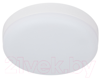 Потолочный светильник ЭРА LED 15-24-4K / Б0054334 - фото