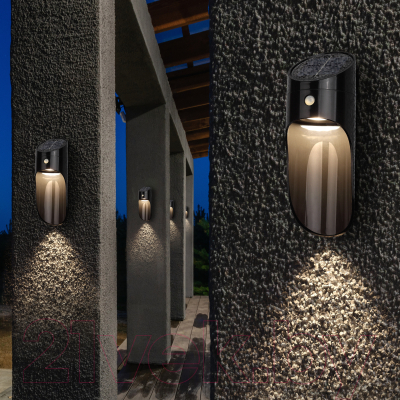 Светильник уличный ЭРА ERAFS050-43 / Б0044491