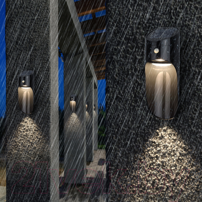 Светильник уличный ЭРА ERAFS050-43 / Б0044491