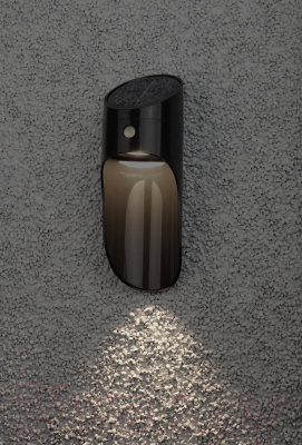 Светильник уличный ЭРА ERAFS050-43 / Б0044491