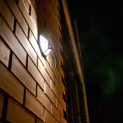 Светильник уличный Uniel Sensor UL-00009369 / USL-F-167/PT100