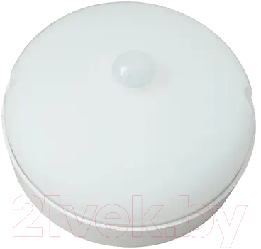 Светильник уличный Uniel Sensor UL-00008488 / ULW-Q216 - фото