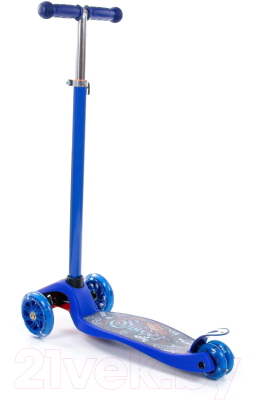 Самокат городской Полесье 0072-V1(С)