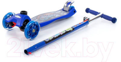 Самокат городской Полесье 0072-V1(С)