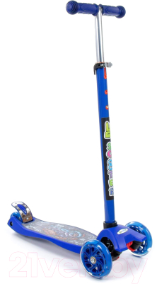 Самокат городской Полесье 0072-V1(С)