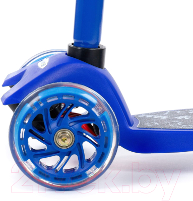 Самокат городской Полесье 0072-V1(С)