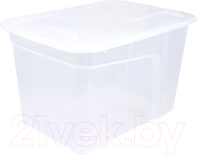 Контейнер для хранения Полимербыт Roombox / 4373400 - фото